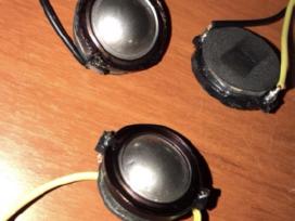 Focal aukstadaznis 2 vnt