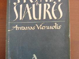 A. Vienuolis "Viesnia is siaures"