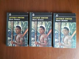 Entonis Smitas "Mato grosas" 1983 metai