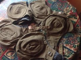 Desantininku posalmis