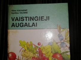 Vaistingieji augalai