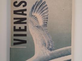 R. Bachas. Vienas
