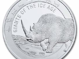Gana 2021 Vilnonis raganosis ag999 1oz