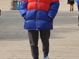 Stilinga šilta oversized Champion striukė