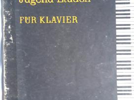 Muzikinės natos