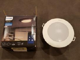 Philips Phoenix įleidžiamas šviestuvas