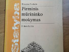 Pirminis mūrininko mokymas