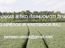 Ieškome išsinuomoti žemės Kretingos ,Klaipėdos raj