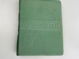 Knyga Grybai 1970m