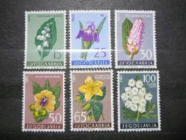 Geles Flora Jugoslavija 1963 Mnh js1034