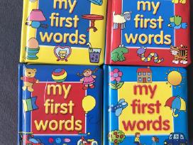 Angliškų knygelių rinkinys vaikams My first words