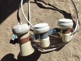 Lnb galvutes