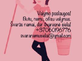 Valau namus, ofisus, plaunamo siurblio nuoma.