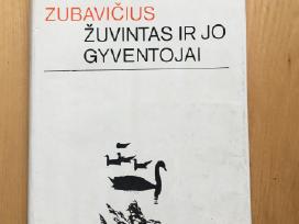 Žuvintas ir jo gyventojai