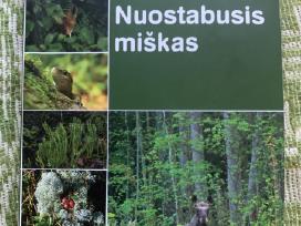 Nuostabusis miskas