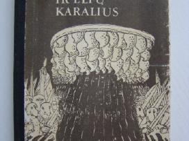 Švedų pasakos vaikams. Piemenukas ir elfų karalius