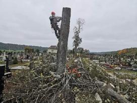 Avarinių medžių , krūmų pjovimas. Arboristas.