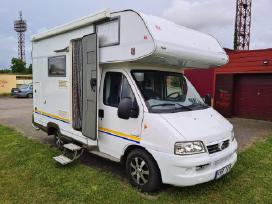 Fiat Ducato, coach buses