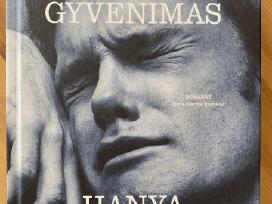 Mažas gyvenimas, Hanya Yanagihara