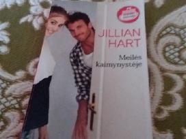 Meilės Kaimynystėjejillian Hart 2014 m.