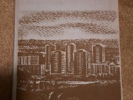 Vilniaus miesto istorija