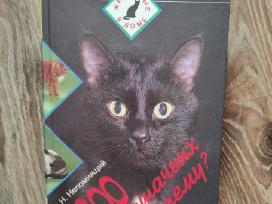 ,300 katiniškų kodėl?, - 1997m.