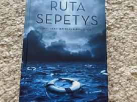 Knyga Druska Jūrai
