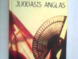 Romanas "Juodasis anglas"