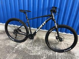 cannondale focus