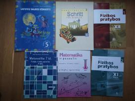Pratybu sasiuviniai (lietuviu, fizika, matematika)