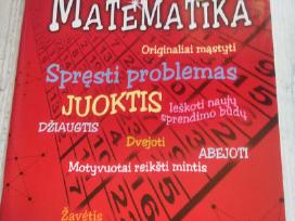 Stebuklinga matematika