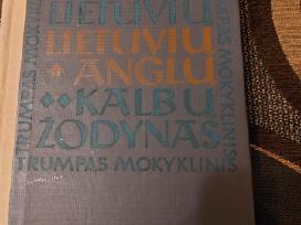 Anglų-lietuvių / lietuvių-anglų žodynas
