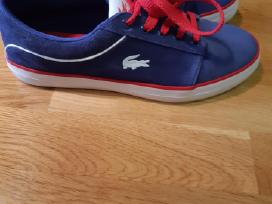Lacoste kedukai