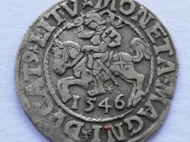 Žygimanto Augusto pusgrašis 1546 .reti metai
