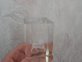Statulele jautis