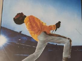 Queen Dvd