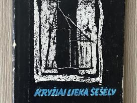 Kryžiai lieka šešėly