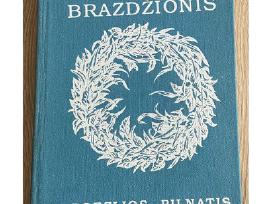 Poezijos pilnatis