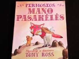Pirmosios mano pasakėlės