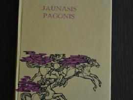 Vytautas Misevičius Jaunasis pagonis