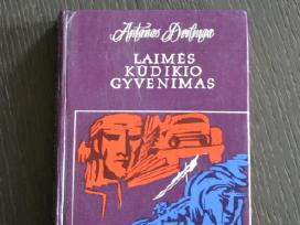 Antanas Drilinga Laimės kūdikio gyvenimas