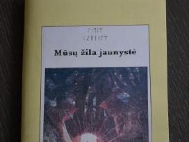 Mūsų žila jaunystė