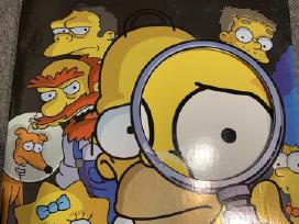 Simpsonų 6 sezono kolekcinis dvd leidimas
