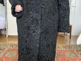 Karakulio kailiniai