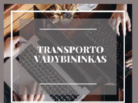 Transporto vadybininkas su licencija