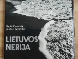 Daug Lietuvos, gyvūnų fotografija, senos miestų