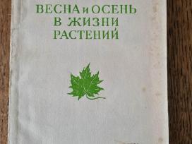 Весна и осень в жизни растений 1950
