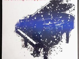 Bugge Wesseltoft - Its Snowing On My Piano