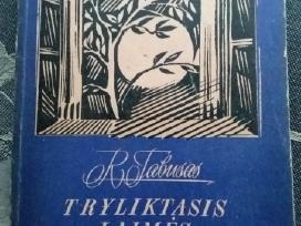 Tryliktasis laimės laiptelis R. Tabusas 1978 m.