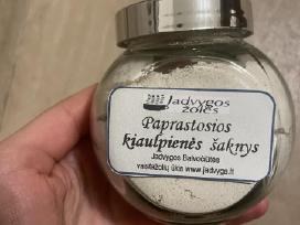 Maltos kiaulpieniu saknys